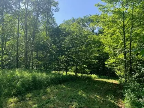 95 Jenne Rd, Hartland, VT 05048 photo 12
