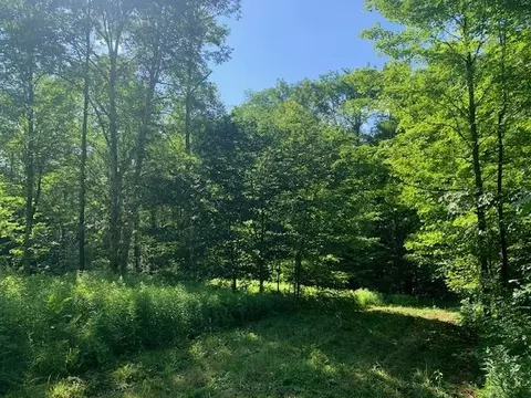 95 Jenne Rd, Hartland, VT 05048 photo 15