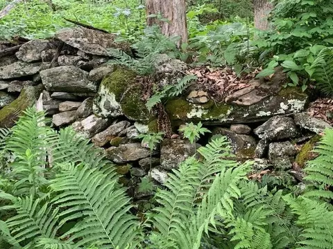 95 Jenne Rd, Hartland, VT 05048 photo 7