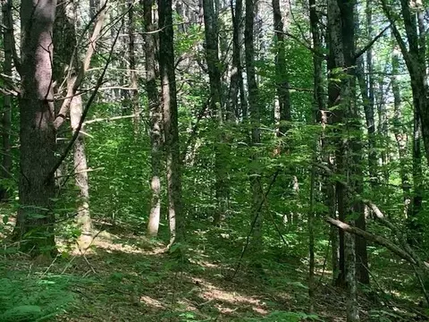 95 Jenne Rd, Hartland, VT 05048 photo 14