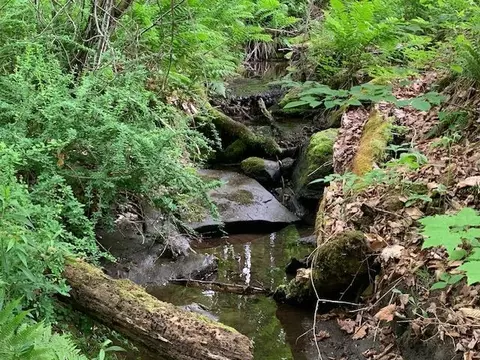 95 Jenne Rd, Hartland, VT 05048 photo 6