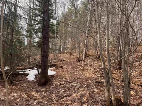0 Cross Rd, Jay, VT 05859 photo 7