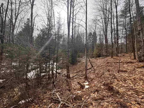 0 Cross Rd, Jay, VT 05859 photo 15