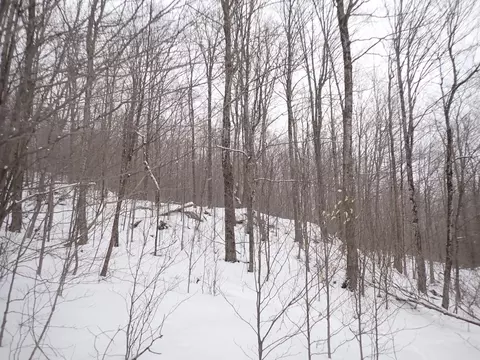 00 Plunkton Rd, Warren, VT 05674 photo 2