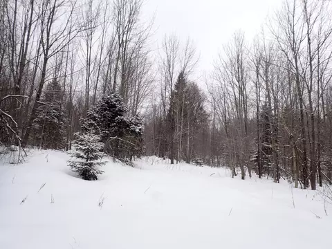 00 Plunkton Rd, Warren, VT 05674 photo 15