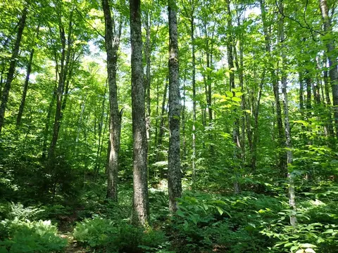 00 Plunkton Rd, Warren, VT 05674 photo 18