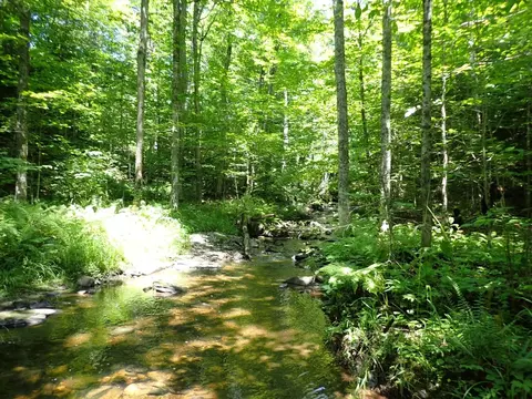00 Plunkton Rd, Warren, VT 05674 photo 24