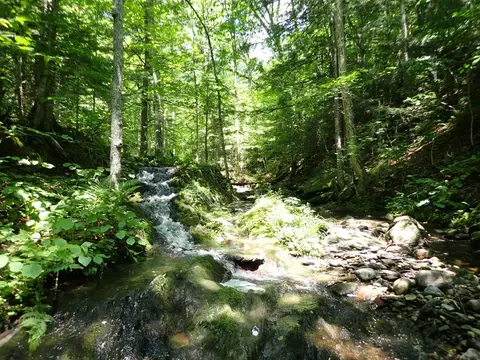 00 Plunkton Rd, Warren, VT 05674 photo 23