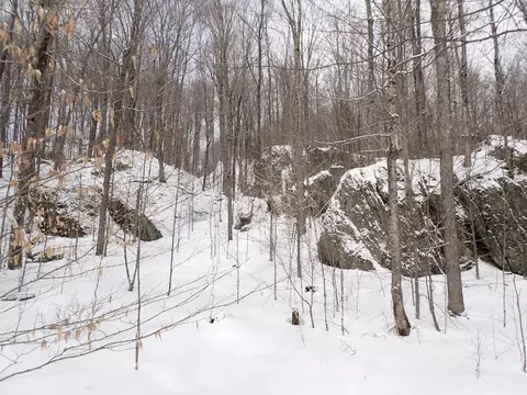 00 Plunkton Rd, Warren, VT 05674 photo 11