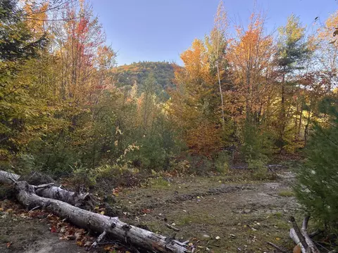 Willis Bean Road #2, Eaton, NH 03832