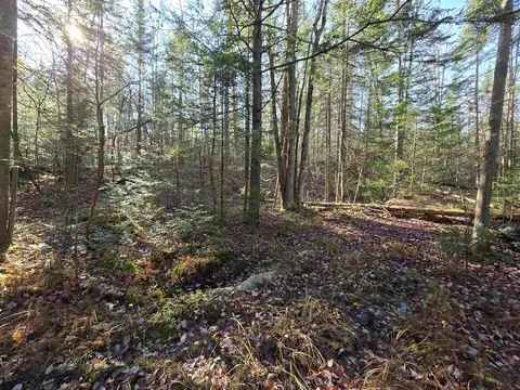 lot3 Chipper Ln, Milan, NH 03588