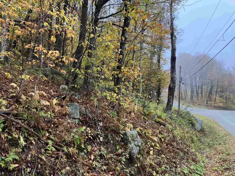 564 Upper Dam Rd #M564 & M565, Wilmington, VT 05363