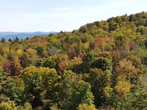 West Hill Road, Jamaica, VT 05343