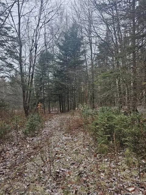 461 Hill Rd #MAP R14, 4 ( LAND ONLY), Dummer, NH 03588 photo 4