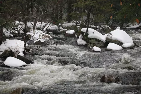 481 Chocorua Mountain Hwy, Tamworth, NH 03886