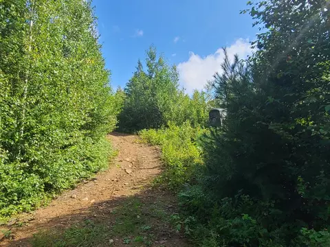 1501 Eligo Lake Rd, Greensboro, VT 05843