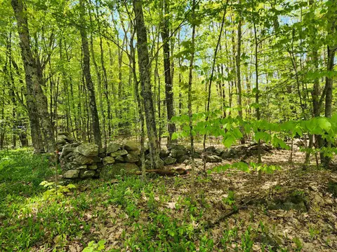 000 S Village Rd #R13-13, Westmoreland, NH 03467