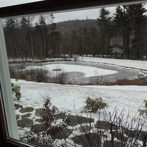 View/Area - 24 Antler Loop, Dover, VT 05356 photo 3 of 5