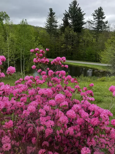 View/Area - 24 Antler Loop, Dover, VT 05356 photo 4 of 5