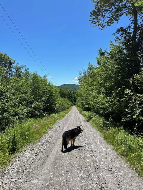 3 Westover Rd # C, Jay, VT 05859 photo 2