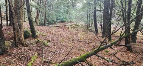 2051 Sheldon Woods Rd, Fairfield, VT 05455
