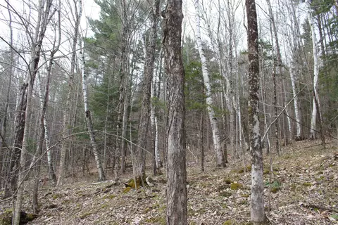 0 Upper Meehan Rd, Bristol, VT 05443 photo 9