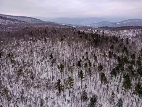0 Upper Meehan Rd, Bristol, VT 05443 photo 14