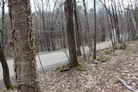 0 Upper Meehan Rd, Bristol, VT 05443 photo 10