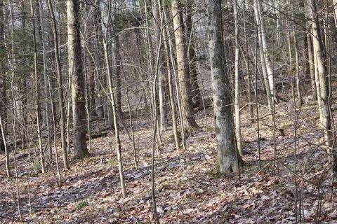 0 Upper Meehan Rd, Bristol, VT 05443 photo 19