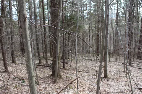 0 Upper Meehan Rd, Bristol, VT 05443 photo 16