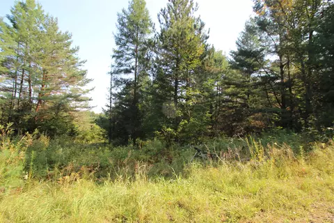 58 Warner Rd, Berlin, VT 05641 photo 8