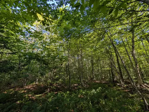 00 Highland Dr #1, Montgomery, VT 05471