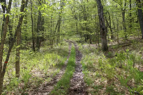 00 Long Hill Rd, Woodstock, VT 05091