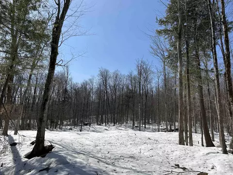 lot Apt 2 Margeaux Ln, Stratton, VT 05155 photo 4