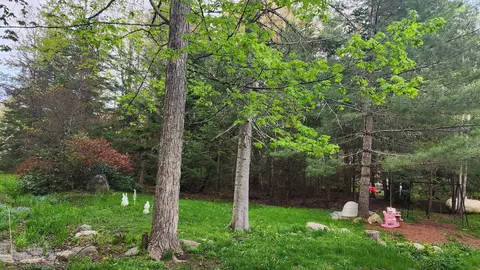 Exterior - 343 Haystack Rd, Wilmington, VT 05363 photo 6 of 7