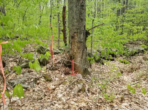 0 Old Gilsum Rd, Keene, NH 03431