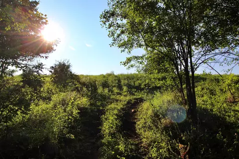 27 Faywood Rd #LOT 5, Grand Isle, VT 05458