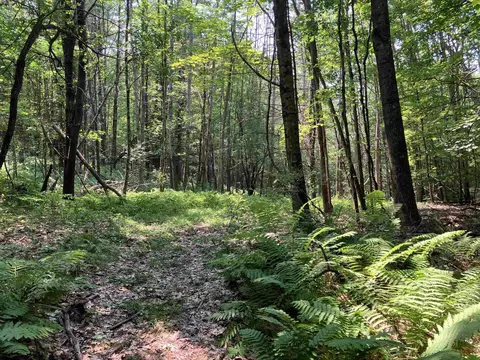 Slab City Road, Claremont, NH 03743