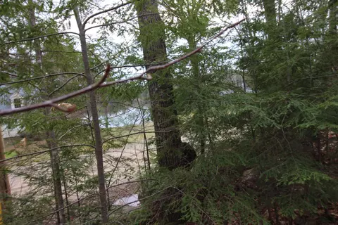 lot19 17 Northeast Pond Rd #19-17, Milton, NH 03851