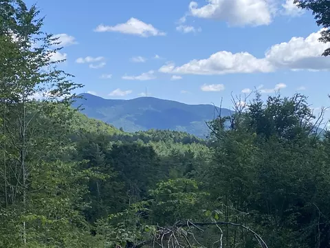 00 Grout Rd, Cavendish, VT 05153