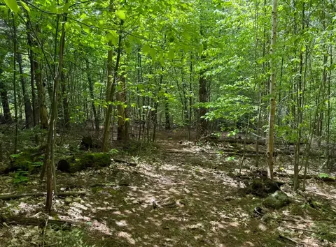 lot2 North St, Dover, VT 05431 photo 5