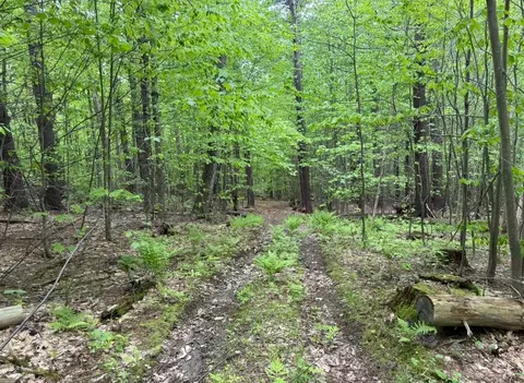 lot2 North St, Dover, VT 05431 photo 6