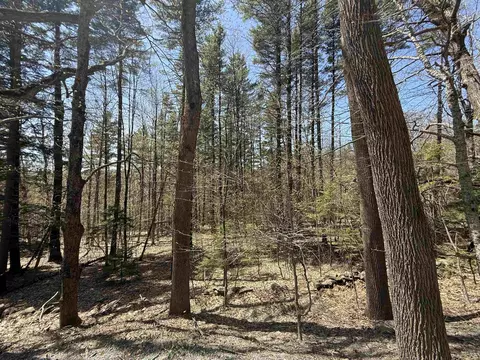 lot2 North St, Dover, VT 05431 photo 3