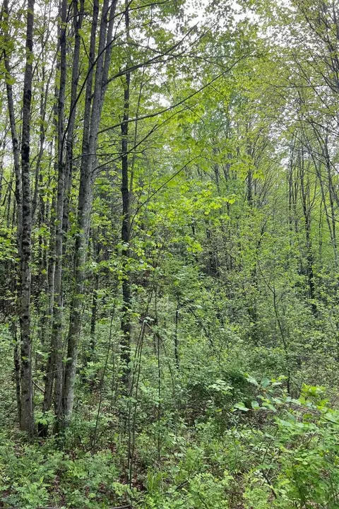 0 Old Walpole Rd, Keene, NH 03431