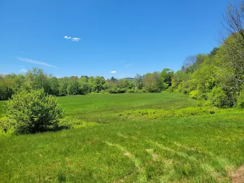 lot91 Eastern District Rd, Danbury, NH 03230