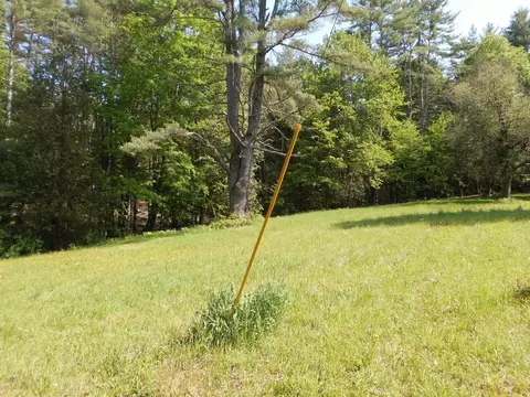 0088 Rosewood Ln #88, Castleton, VT 05735