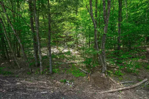 0 Route 100 N, Plymouth, VT 05056