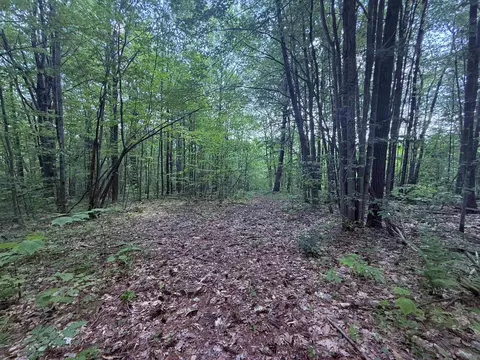 251 Phillips Hill Rd, Halifax, VT 05358
