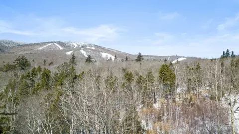 2 Gold Medal Cir #2, Stratton, VT 05155