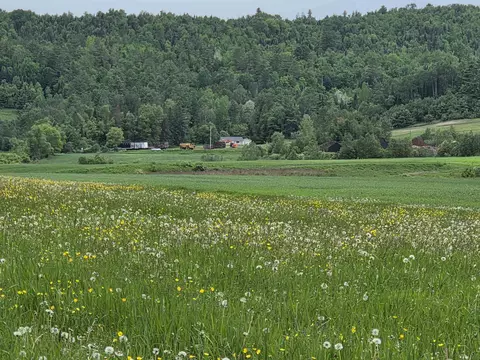 0 Old Concord Rd, Concord, VT 05824